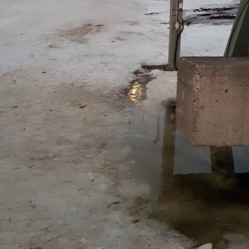 49734991_2303241789900794_5519346190145028096_n