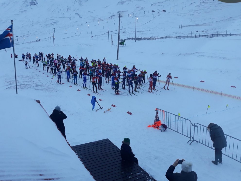 Hermannsgangan 2020!